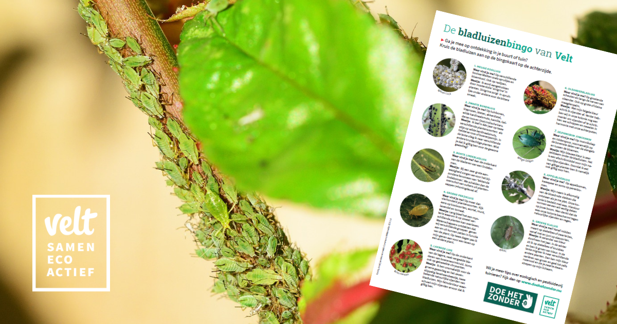 Afbeelding verwijderd.