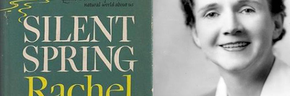 Silent spring